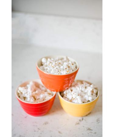 Amish Country Popcorn Ballpark ButterSalt Popcorn Salt, 2-1 lb Bottles | Non-GMO, Gluten Free - Buy Online on GoSupps.com
