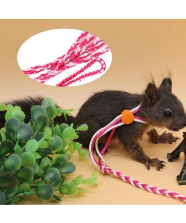 Buy Hamster Dishes & Small Pet Leash Harness with Bell Collar | Pink Training Gear for Dwarf Hamsters Gerbils Rats & Mice - International Shipping - Buy Online on GoSupps.com