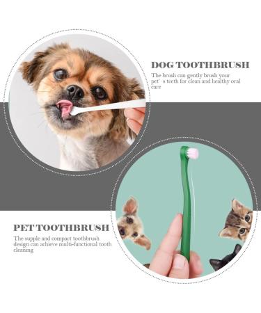 BELLIFFY 4pcs Pet Toothbrush Cat Care Toothbrush Manual Dog Toothbrush Toothpaste Plastic - Buy Online on GoSupps.com