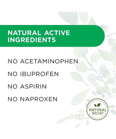 Hyland's Headache & Tension Relief - Natural Pain Medicine (100 Tablets) - Buy Online on GoSupps.com