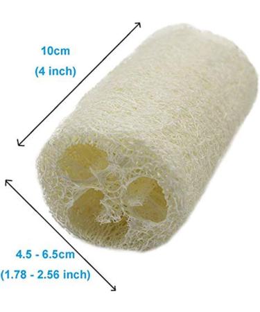 6 Pack 100% Natural 4 inch Loofahs - Exfoliating SPA Scrubber for Skin Care | Best Luffa Body Scrub Sponge to Remove Dead Skin - Buy Online on GoSupps.com