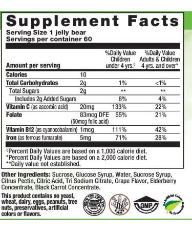 NutriBear Iron Gummies Supplement with Vitamin C Vitamin B12 Folate for Women Kids & Adults - Supports Energy No After Taste Vegan Supplements - Grape Flavor (60 Ct) 30 Count (Pack of 2) - Buy Online on GoSupps.com