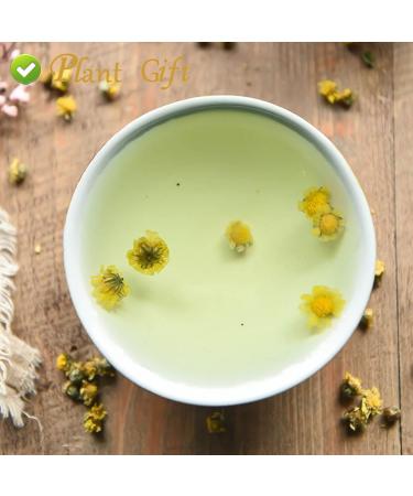 Buy Wild Chrysanthemum Tea - Authentic Chinese Tea 60g | Health Benefits | International Shipping - Buy Online on GoSupps.com