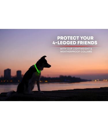 Illumiseen LED Dog Collar USB Rechargeable - Neon Green Large (L) 19-24 - High Visibility Light for Night Walking - Buy Online on GoSupps.com