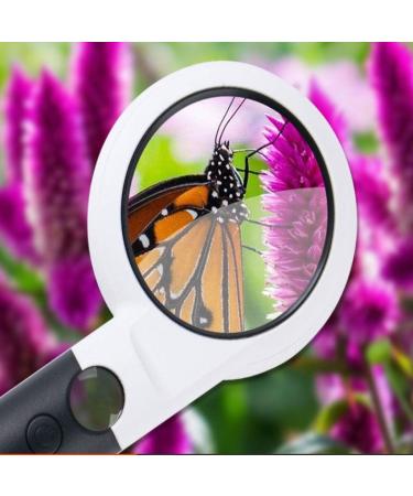 Handheld Magnifying Glass Double-Layer Magnifying Glass Reading Newspaper Magnifying Glass Visual Aid with 5X20X Magnifying Glass for The Elderly with Children Reading with Led Made in China - Buy Online on GoSupps.com