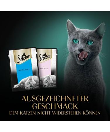 Sheba Fresh & Fine in Jelly - Premium Tuna & Salmon Wet Cat Food (36 x 50g) - International Shipping Available - Buy Online on GoSupps.com