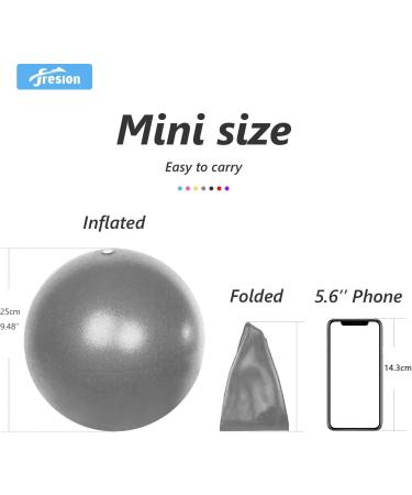 Fresion Small Exercise Ball - 25cm Mini Pilates Ball for Core Training - Durable Gray - Buy Online on GoSupps.com