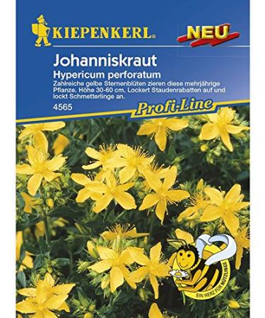 St. John's wort hypericum perforatum