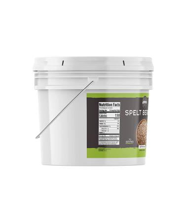 Birch & Meadow 1 Gallon Spelt Berries Dehulled - Non-GMO & Non-Irradiated - Buy Online on GoSupps.com