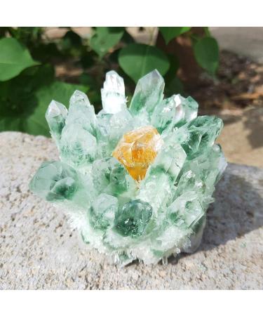 300-1000g Garden Crystal Cluster Natural Green Ghost Quartz raw Gemstone Specimen Home Decor Suitable for Home HOMEZHOU (Size : 800-900g)