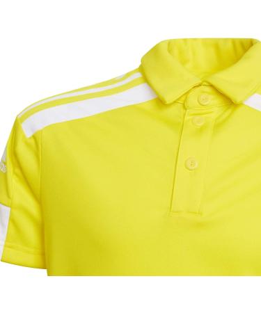 Adidas Unisex Squadra 21 Polo - Buy Online | International Shipping Available - Buy Online on GoSupps.com