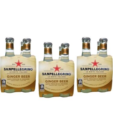 SanPellegrino San Pellegrino Ginger Beer Soft Drinks with Notes of Ginger + Lemon Juice Limonata 20 cl Alcohol-free Drink 24 Count - Buy Online on GoSupps.com