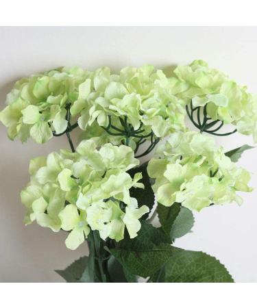 200 Pcs 16 Inch Dark Green Floral Stem Wire - Ideal for DIY Bouquet Making and Crafts - Buy Online on GoSupps.com
