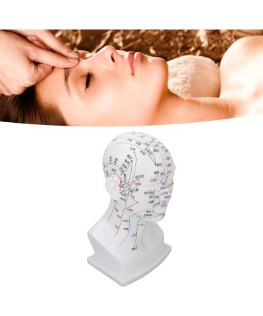 Buy Acupuncture Head Model with Point Markings | Ideal for Facial Treatments & Training Props - 11.8 inches Soft PVC - Buy Online on GoSupps.com