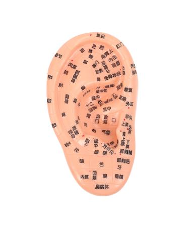 FRCOLOR 1pc Massage Ear Model Artificial Human Ear Human Acupuncture Model Ear Point Model Ear Tool Ear Massager Tool Ear Model Display Ear Acupoint Model Ear Kit Medical PVC Teaching