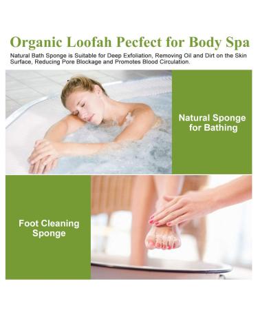 4 Pieces Biodegradable Luffa Sponges - Reusable Natural Bathing & Dish Cleaning Washers with Cord | Eco-Friendly Kitchen & Spa Essentials - Buy Online on GoSupps.com