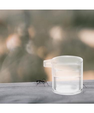 PATKAW Pet Water Feeder Ants Waterer for Garden Ants Feed Bowl Ants Drinking Container Ants Water Feeder Ants Waterer Cup Insect Water Bowl Clear Ants Feeder Mini Drinking Cup Acrylic - Buy Online on GoSupps.com