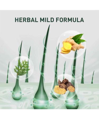  Stronrive Hair Growth Oil Hair Growth Strengthening Oil Hair Growth Oil Natural Growth Care Oil Nourishing Care for Stronrive Ends - Buy Online on GoSupps.com