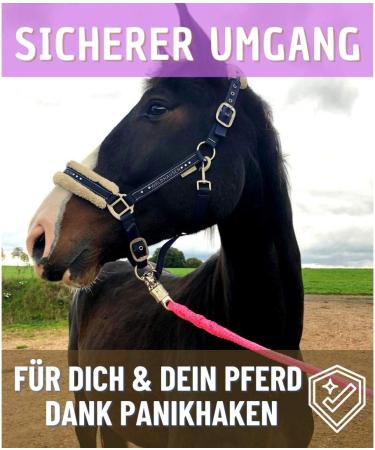 Lead Rope with Panic Hook for Horses & Ponies - 1.60m Neon Pink Tie Rope in Stylish Designs - Buy Online on GoSupps.com