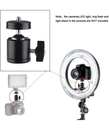 SLOW DOLPHIN Hot Shoe Mount Adapter 360 Swivel Mini Ball Head for Cameras, Camcorders, Smartphones, Gopro - 2 Pack - Buy Online on GoSupps.com