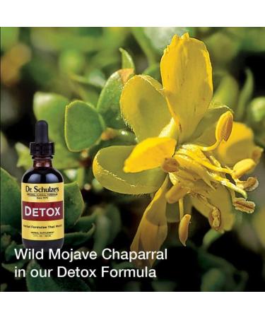 Dr. Schulze's 5 Day Kidney Cleanse - Ultimate Natural Detox for Optimal Health | Fast International Shipping - Buy Online on GoSupps.com
