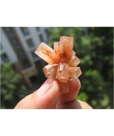 Natural Rare Aragonite Quartz Crystal Cluster Shape Rough Stone Nepheline Home Decor Gifts Beautiful Natural Luster (Size : 10pcs) - Buy Online on GoSupps.com