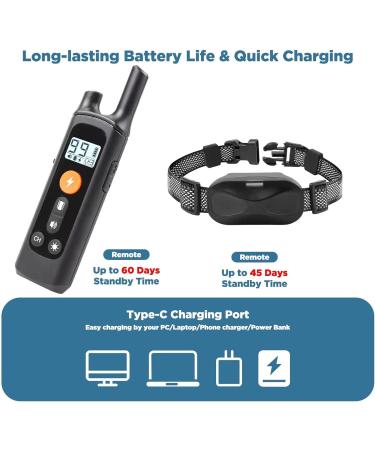 Buy New Classic Nylon Dog Collars - Waterproof Breathable Easy to Handle for All Sizes - Buy Online on GoSupps.com