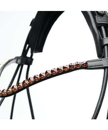 Buy Dream Forest Horse Code Bridle for Warmbloods - Quality Equestrian Gear | Worldwide Shipping - Buy Online on GoSupps.com