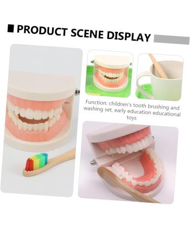 Minkissy Educational Tooth Brushing Toy Set - Early Learning Teeth Model for Kids | Reusable Pedagogical Teaching Tools - Buy Online on GoSupps.com