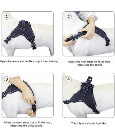 Tailup Adjustable Reflective Dog Harness for Small & Medium Dogs - Light Green Size M | Ideal for Puppies & Outdoor Adventures - Buy Online on GoSupps.com