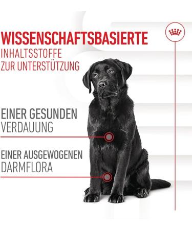 ROYAL CANIN Digestion Chews Adult Supplements Double Pack 2 x 160 g Supplementary Feed for Adult Dogs to Support Normal Digestion and Intestinal Flora - Buy Online on GoSupps.com