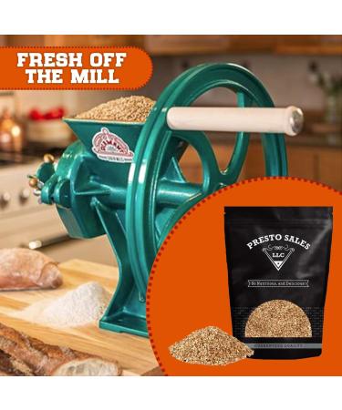 Pecan Raw Meal/Flour 1 lb. by Presto Sales LLC - Vegan  Healthy  Delicious  USA-Made - Buy Online on GoSupps.com