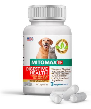 Imagilin Technology, LLC MitoMax-Premium probiotics for Dogs and Cats, 40 Capsules per Bottle - Buy Online on GoSupps.com