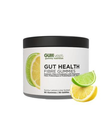 FunFiber Gummies by Gummy Nutrition Lab - High Fiber Supplement for Digestive Health - Made in Canada - 90 Gummies
