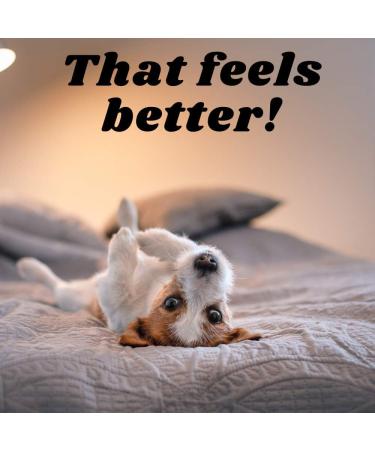 Flea Shampoo for Dogs and Flea Comb Bundle Premium Anti-Flea Dog Cleaning Products Pet Home Treatment for Fleas Natural Ingredients Deep Cleansing and Grooming Kit Easy to Use - Buy Online on GoSupps.com