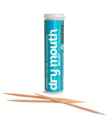 Xero Picks Dry Mouth - Infused Flavored Toothpicks for Long Lasting Fresh Breath & Dry Mouth Prevention (1 Pack - Wintergreen)
