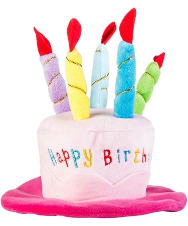 Cute Birthday Cake Hat for Pets with 5 Color Candles - Blue - Buy Online on GoSupps.com