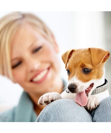 CHUKCHI Soft Adjustable Velvet Collar for Small Dogs & Cats - Red with Rhinestones & Bells - Buy Online on GoSupps.com