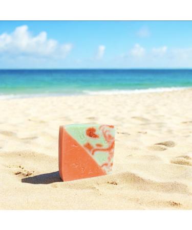 Jabones Corporales Naturales Veganos 100% Hechos a Mano en M xico - Sin Parabenos Colorantes Sint ticos o Conservantes - Buy Online on GoSupps.com