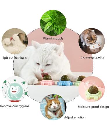 Kayina Catnip Wall Ball 3-Piece Cat Toys - Edible, Chewable, and Rotatable Cat Toy for Teeth Cleaning and Indoor Fun - Cat Wall Decoration Crab Design - Buy Online on GoSupps.com