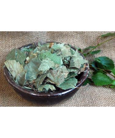 Krauterino24 Krauterino24 - Birch Leaves - Quantity: 500 g