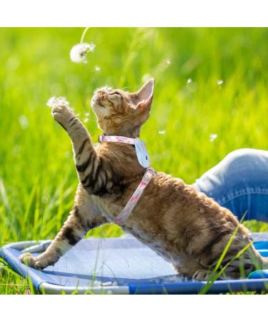 Adjustable Rabbit Leash & Cat Dishes - Perfect for Small Pets | International Shipping - Buy Online on GoSupps.com