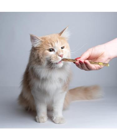 Natural Cat Catnip Silvervine Sticks Cat Sticks Pet Kitten Cleaning Teeth Healthy Care Cat Molar Toothpaste Snacks Fovolat - Buy Online on GoSupps.com
