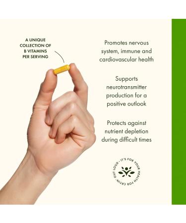 Swanson Vitamin B-100 - Vitamin Supplement Promoting Energy & Metabolism Support - High Potency Formula Supporting Heart Health, Brain Health & Nervous Function - (100 Capsules) (2 Pack) - Buy Online on GoSupps.com