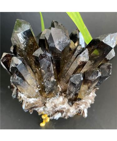 Collection Citrine Phantom Quartz Crystal Cluster Point Healing Specimen Collection Home Feng Shui Decor (Color : Citrine Size : 430g) 430g Citrine - Buy Online on GoSupps.com