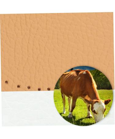 2pcs Non-Slip Forefoot & Heel Cushion Pads - High Heel Inserts & Sole Insoles for Comfortable Foot Support - Buy Online on GoSupps.com