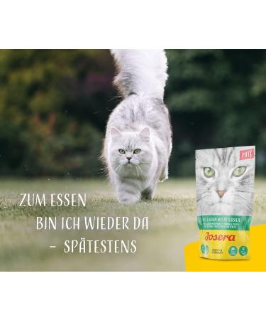 Josera Pat Duck & Chicken with Parsley - Cereal-Free Cat Food (16 x 85g) | Super Premium Wet Food with Salmon Oil for Adult Cats - Buy Online on GoSupps.com