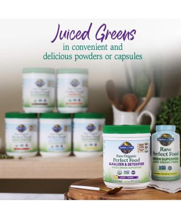 Garden of Life Vegan Green Superfood Powder - Organic Alkalizer & Detoxifier 10.1oz - Raw Whole Food Supplement for Optimal Health - Buy Online on GoSupps.com