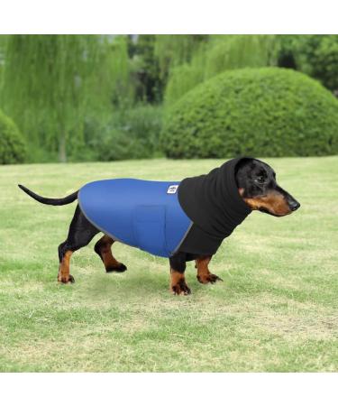 Dachshund Raincoat - Waterproof Winter Clothes for Miniature Dachshund XS Blue - Buy Online on GoSupps.com