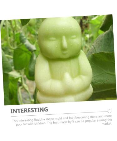 Lurrose Plastic Fruit 6 pcs Tool Cucumber Plant Duddha Growth Adorable Plastic Mould Melon Tiny Pear Buddha Clear Growing Transparentx3pcs 10x7cmx3pcs - Buy Online on GoSupps.com